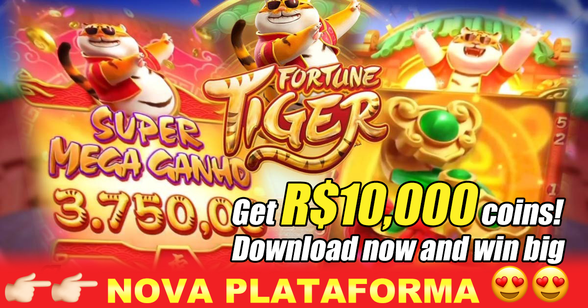 8385 bet jogos no poki cassino on-line